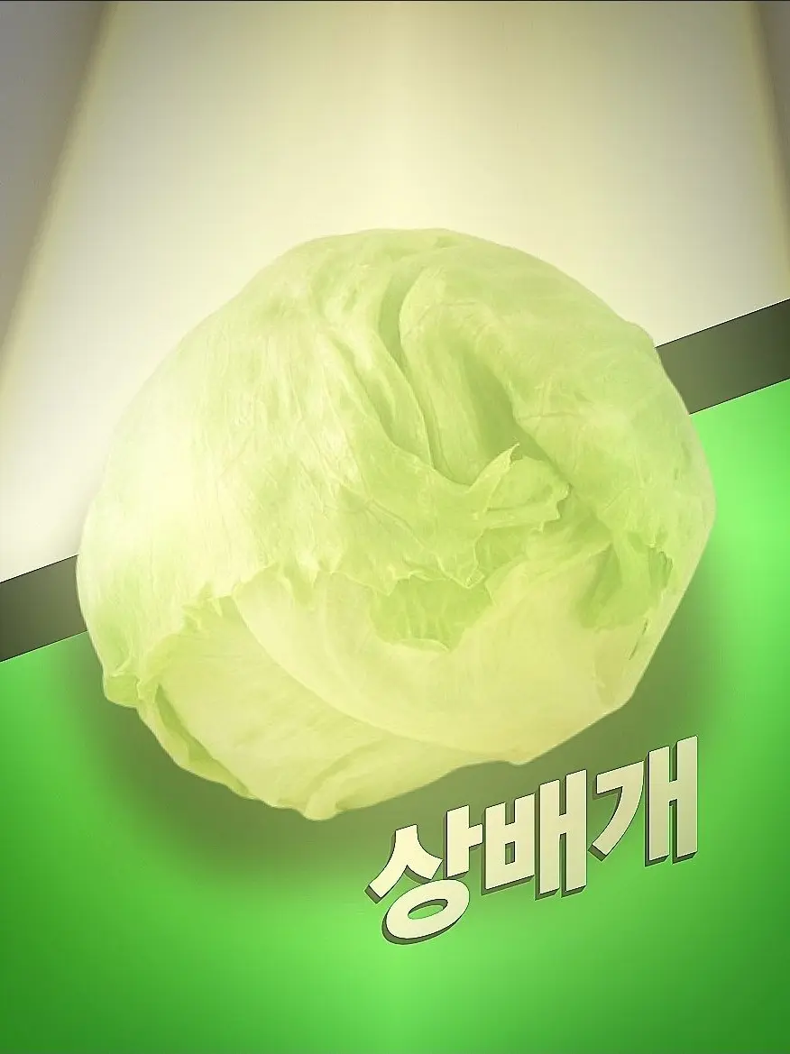 Huride의 상추배추개추팀 상주 미팅