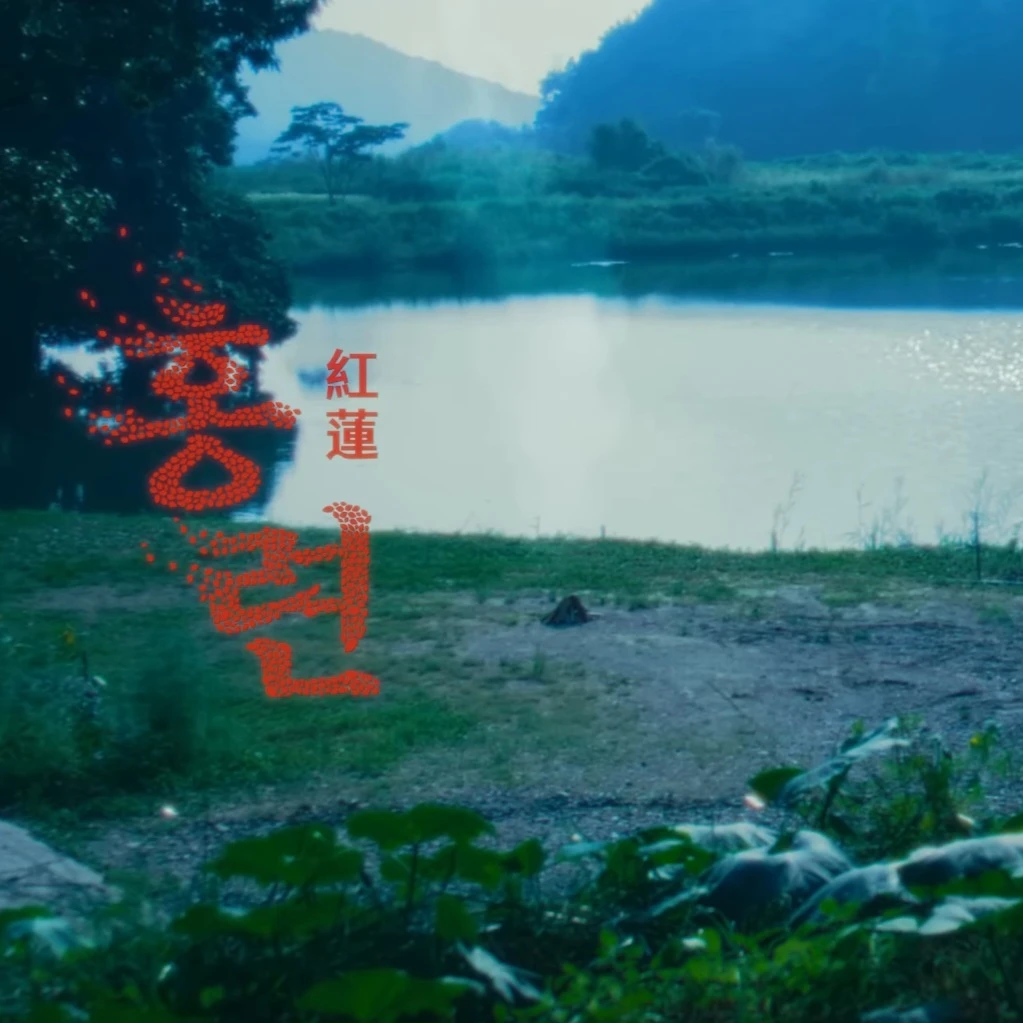 홍련