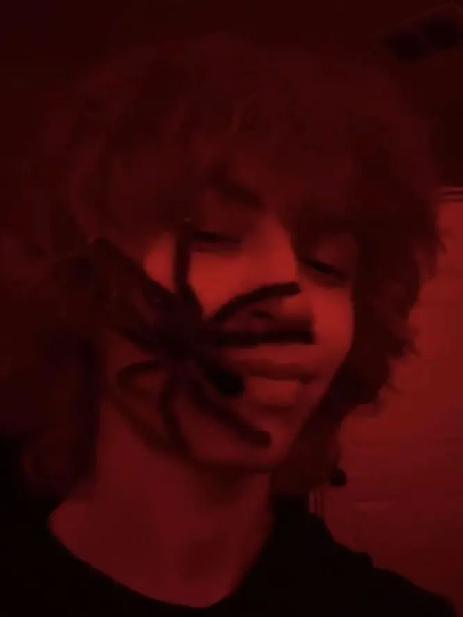 MonMonmochies의 I Feel Inlove with a emo boy?