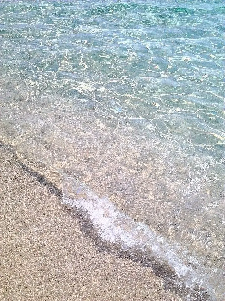 209699의 우리의 청춘은/우리의 사랑은