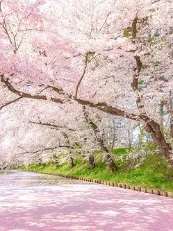 PaleSugar9536의 메탈카드봇w 고등학교