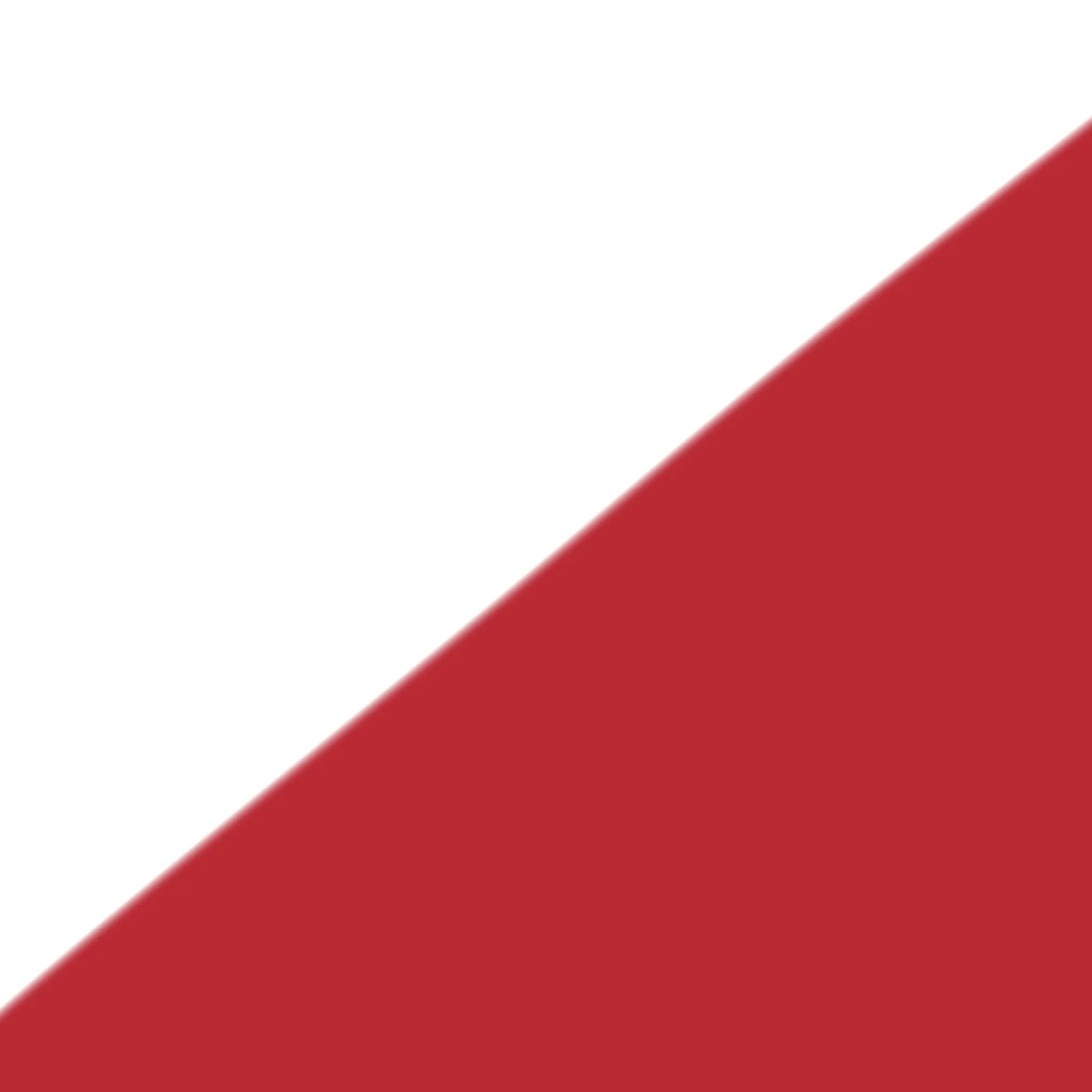 003400의 オリ忍ドクタケ忍者