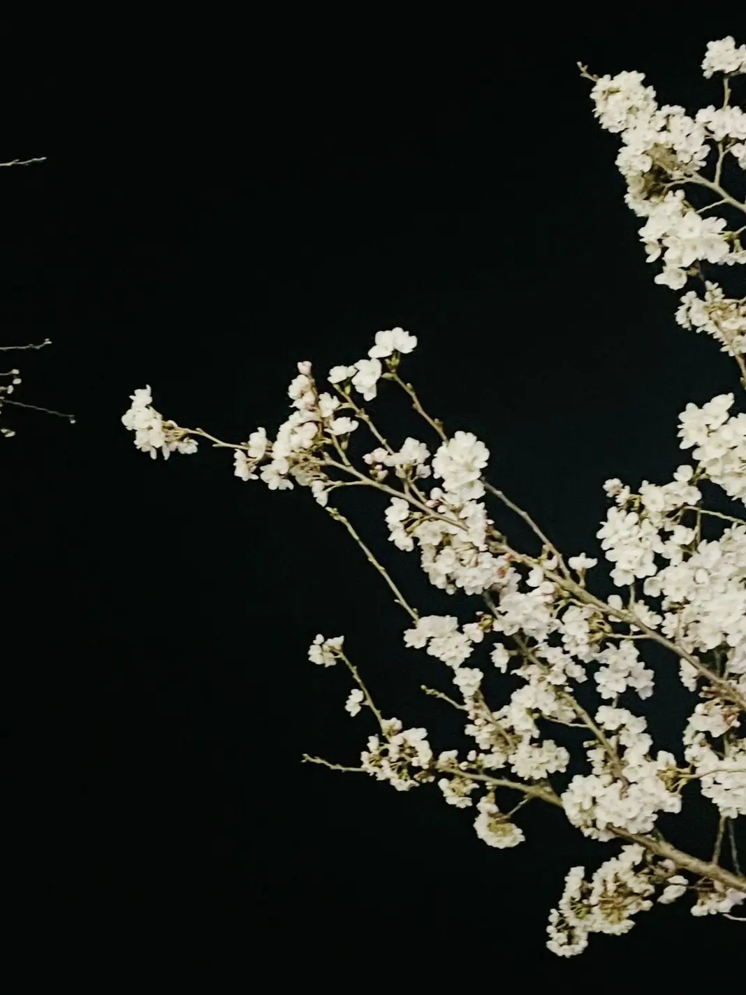 IAN_.의 미스터리 수사반 2