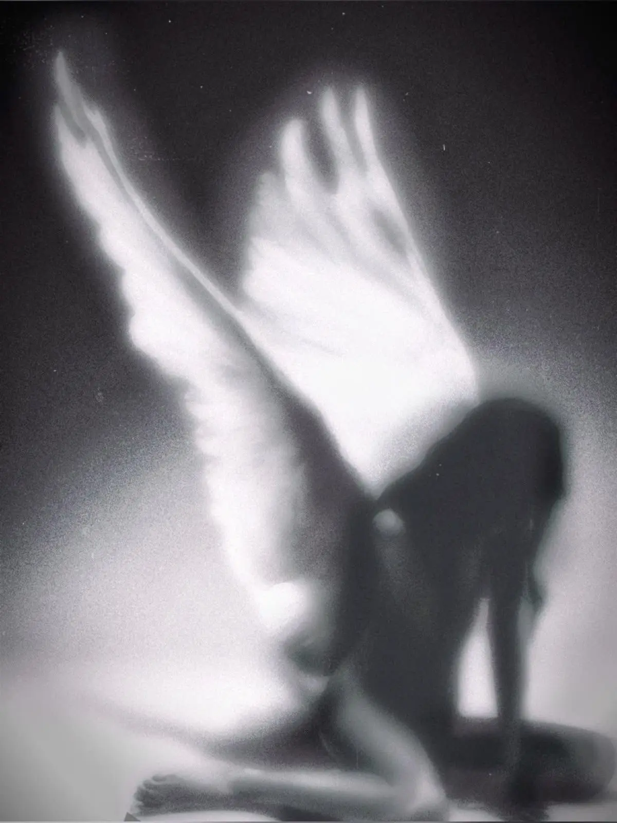 SaltyBell0524의 Fallen Angel