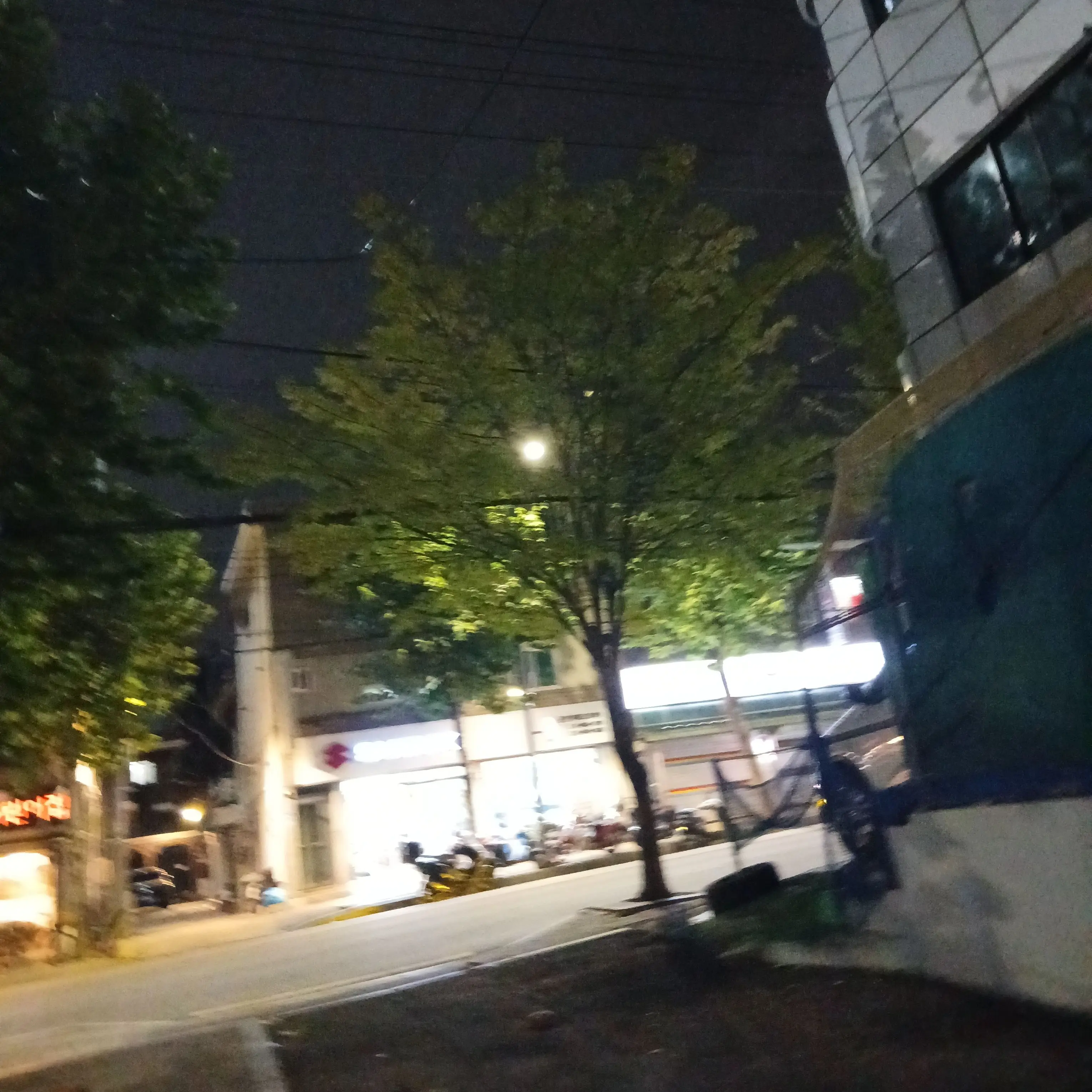 taesan_04의 너와 함께할 수 있었던 마지막 순간.