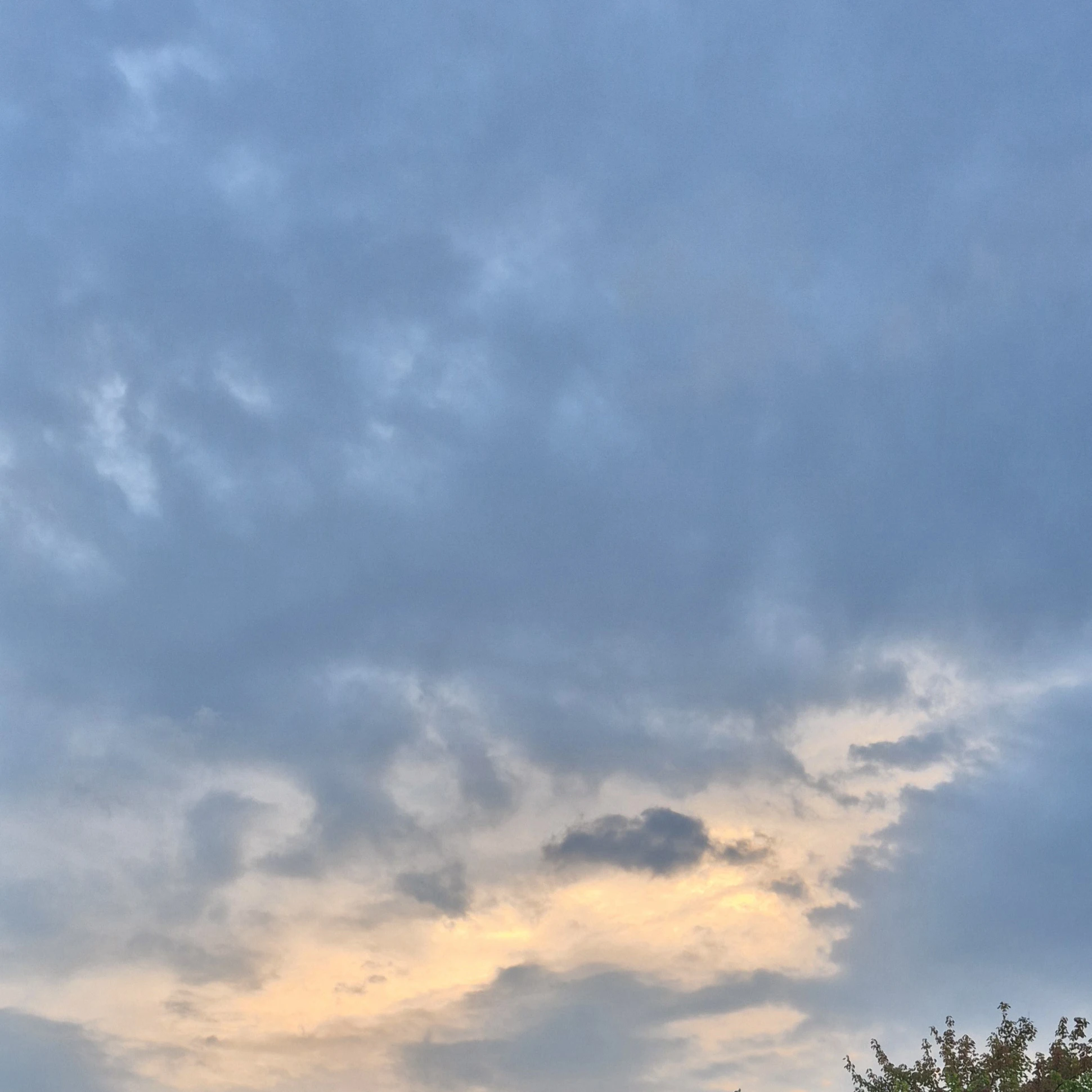 김준구