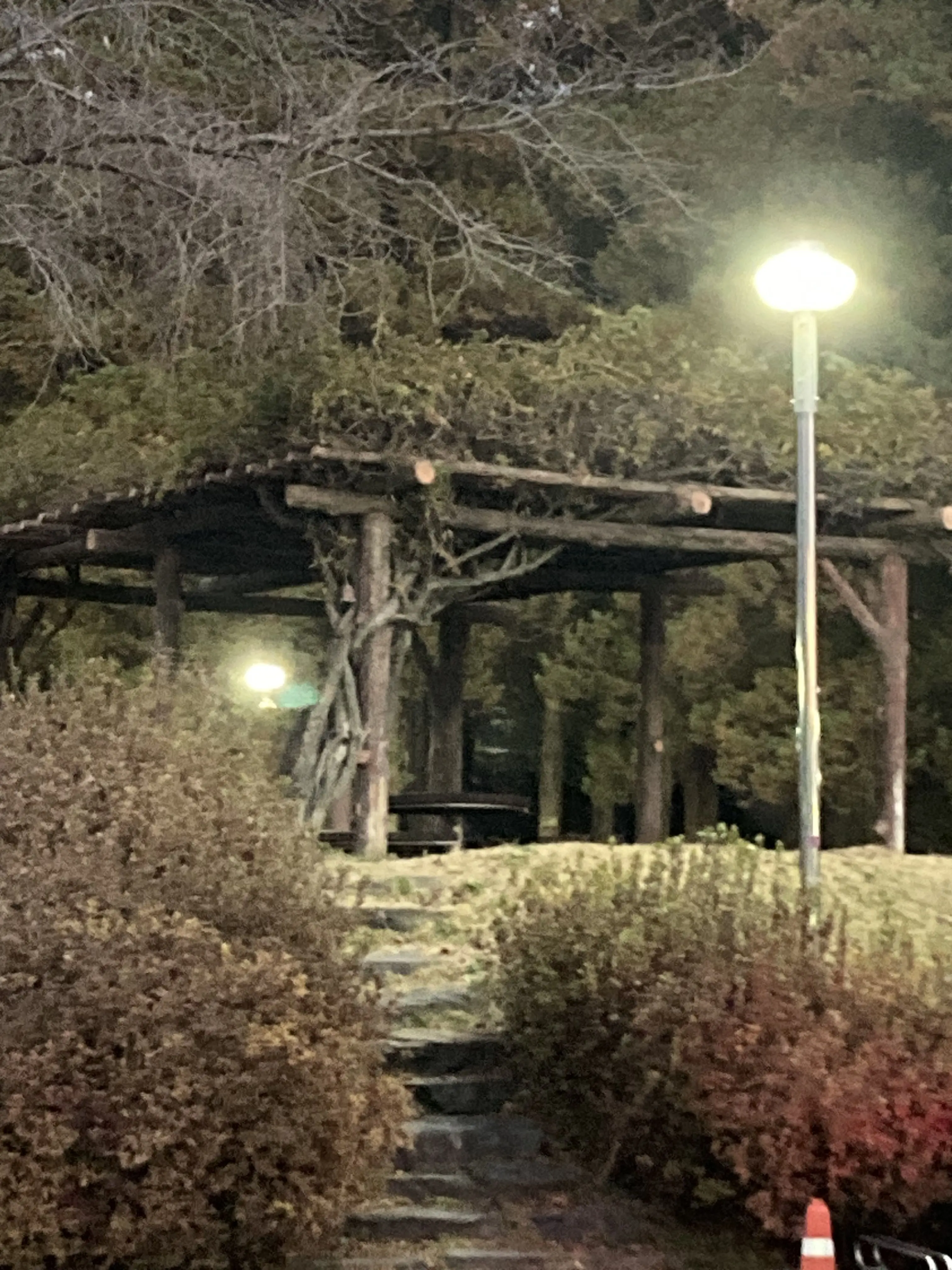 luyen_milky의 픽셀리 남매+깡패+여우