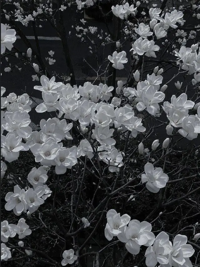 User123456789의 감제이