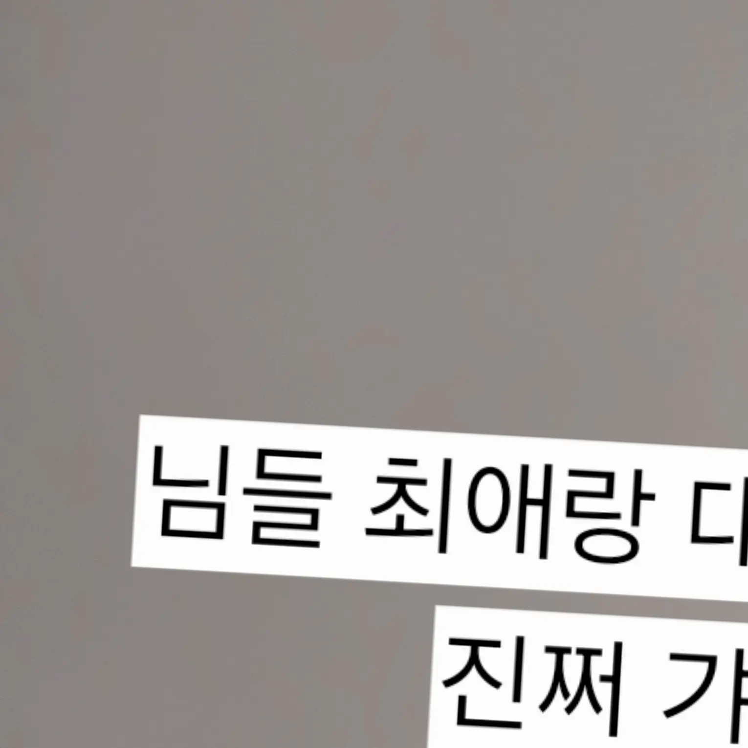 LEESUMANDO._.의 나의 최애들이 우리집에?!