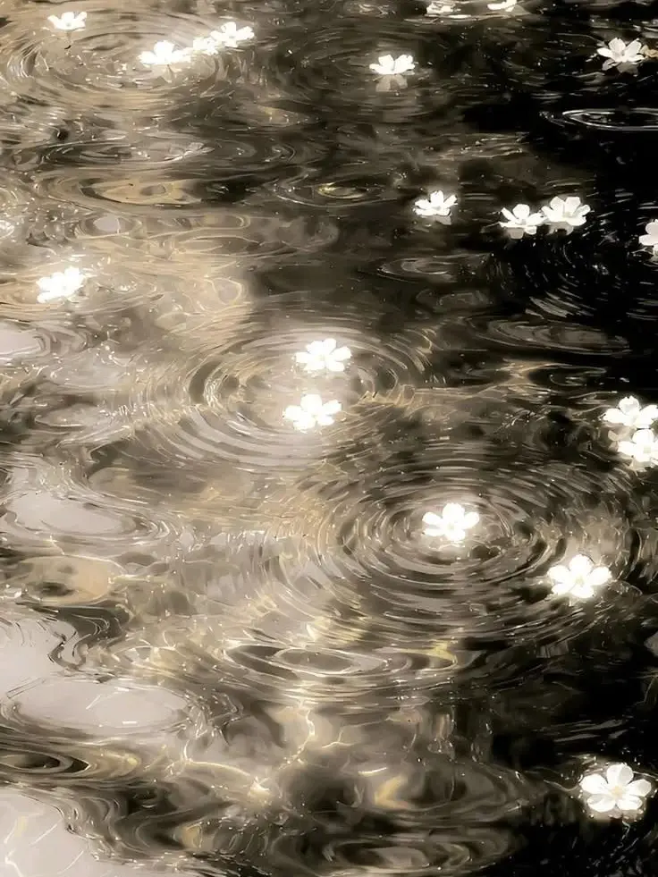 decadent.romantic의 慘哀