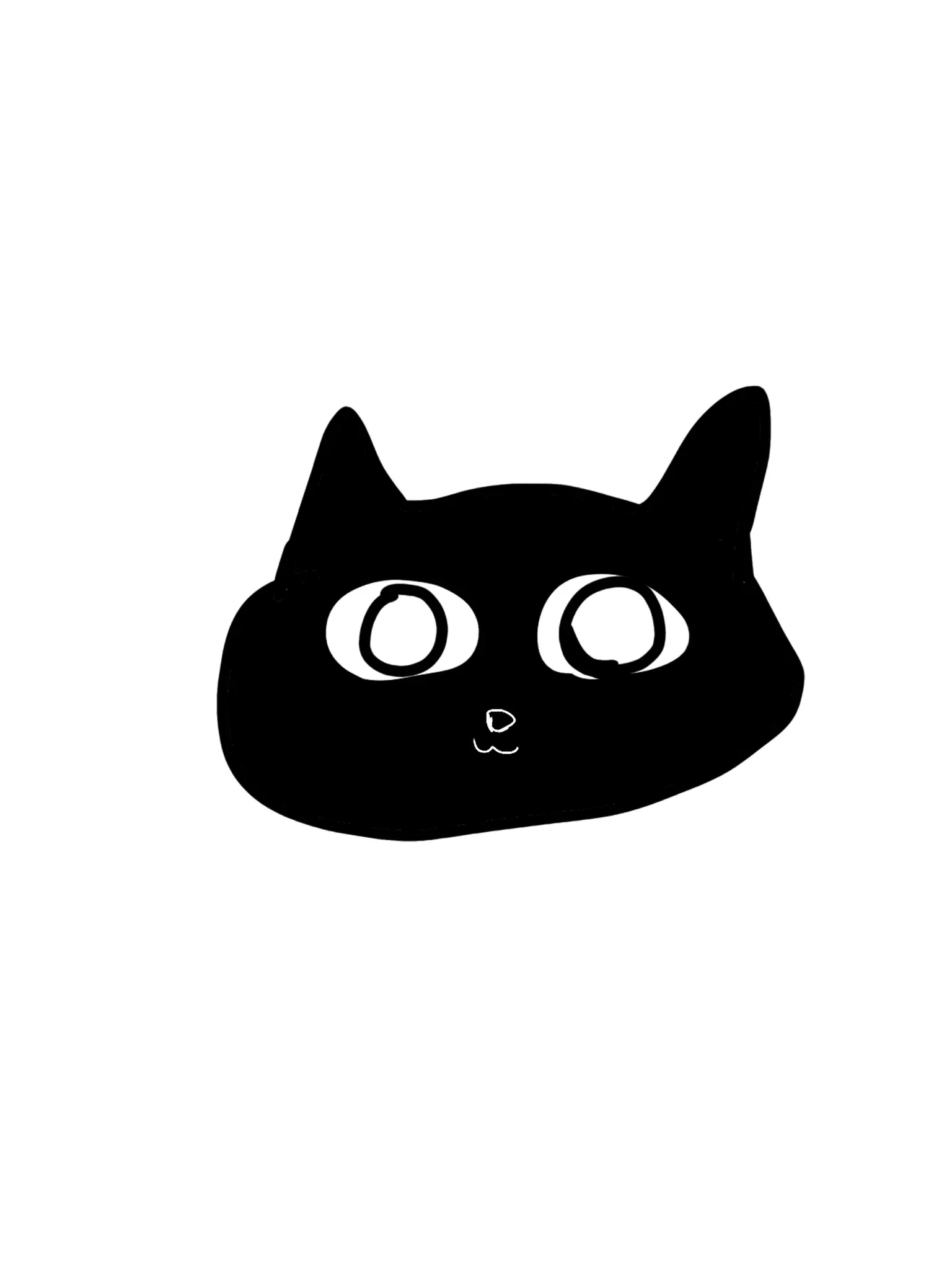 du_wa1700의 키우는 고양이