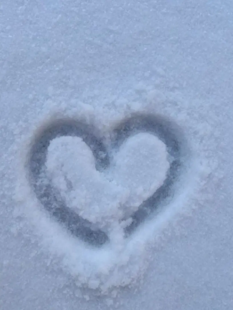 Kuankmochy12033310의 마음대로 가능