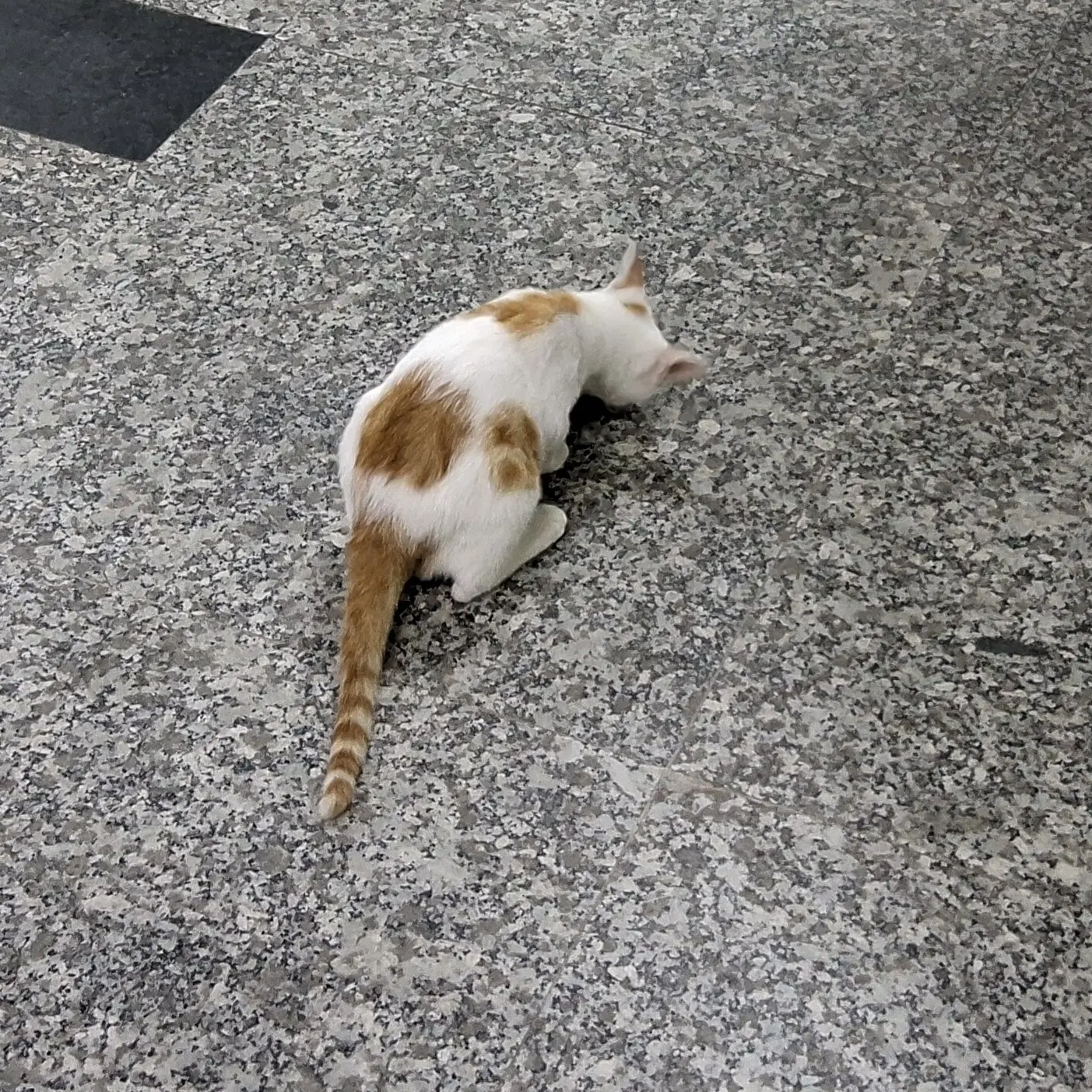 JUST_A_HUMAN의 평학, 준브레드, 유기사