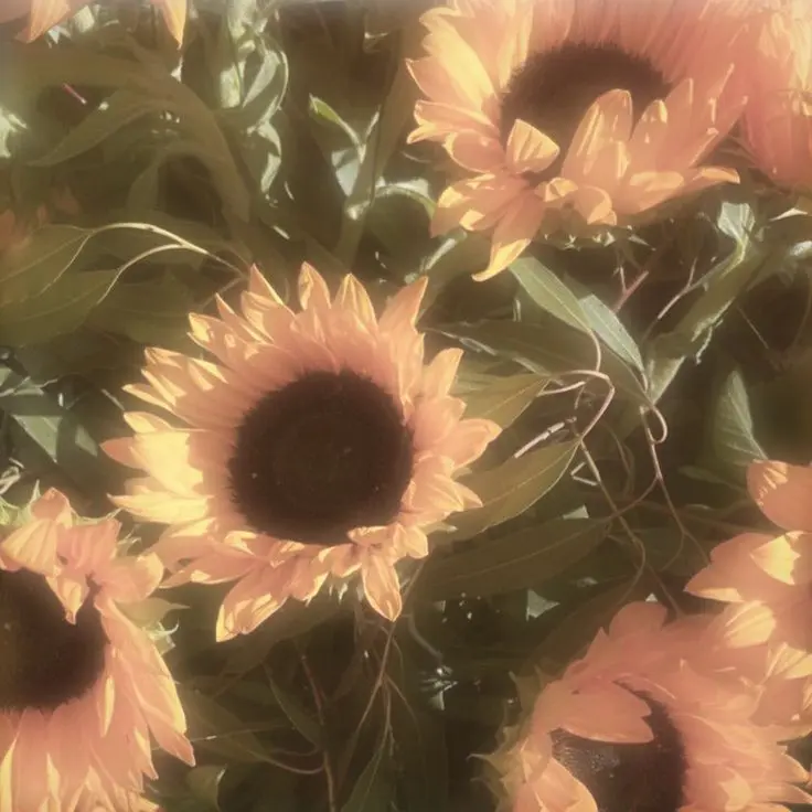 209699의 Happy birthday....?