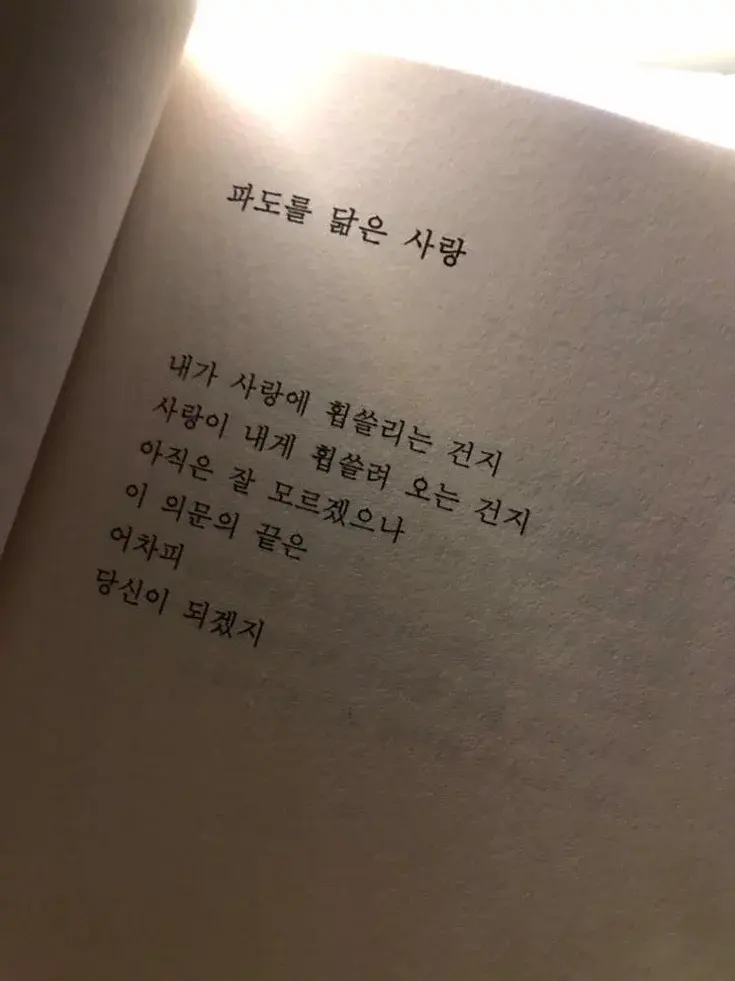 능소화 대표 이미지