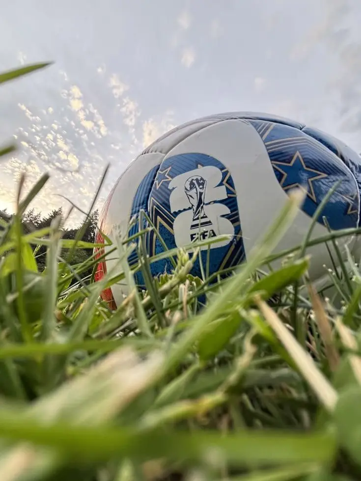 MarinaKurozawa의 MHA- FIFA World Cup 2026