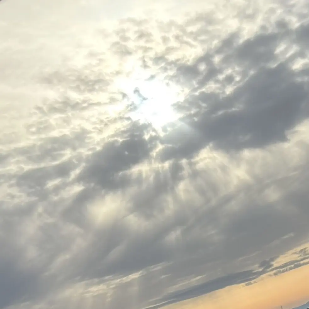 TinyIbex0376의 弟と仲良くなろ