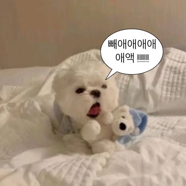 love_1x1x1x1의 당신의 컴퓨터를 지키세요!