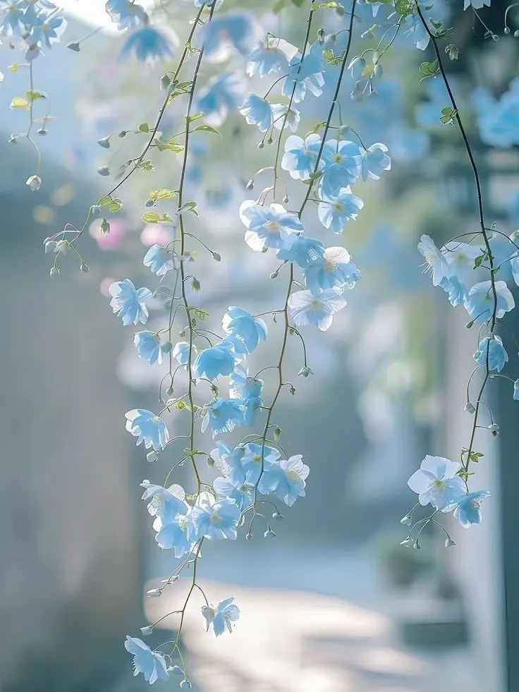 Goeun121205의 2명한테 고백을 받았다?