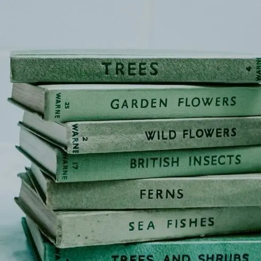 OldCopy3235의 내가 짝사랑하는 선배가 구미호.