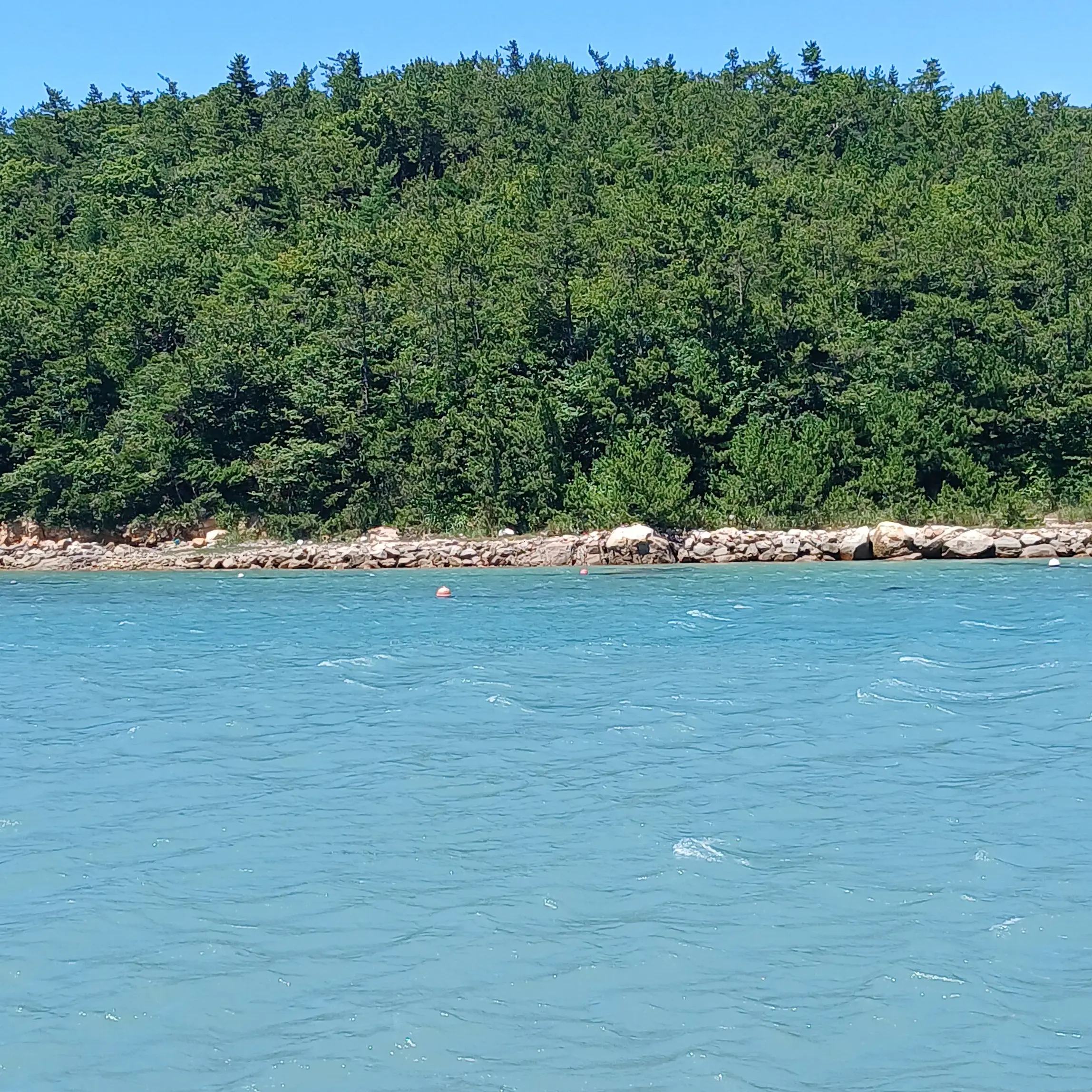 SicklyWolf8977의 ㅅ ㅐ ㅇ ㄹ ㅣ 중인 네즈&타코