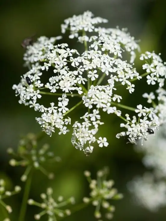 POSIONBURGERYAOI의 싱글싱글육아일기~