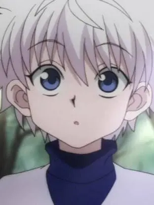 FastDoor1757의 헌터X헌터