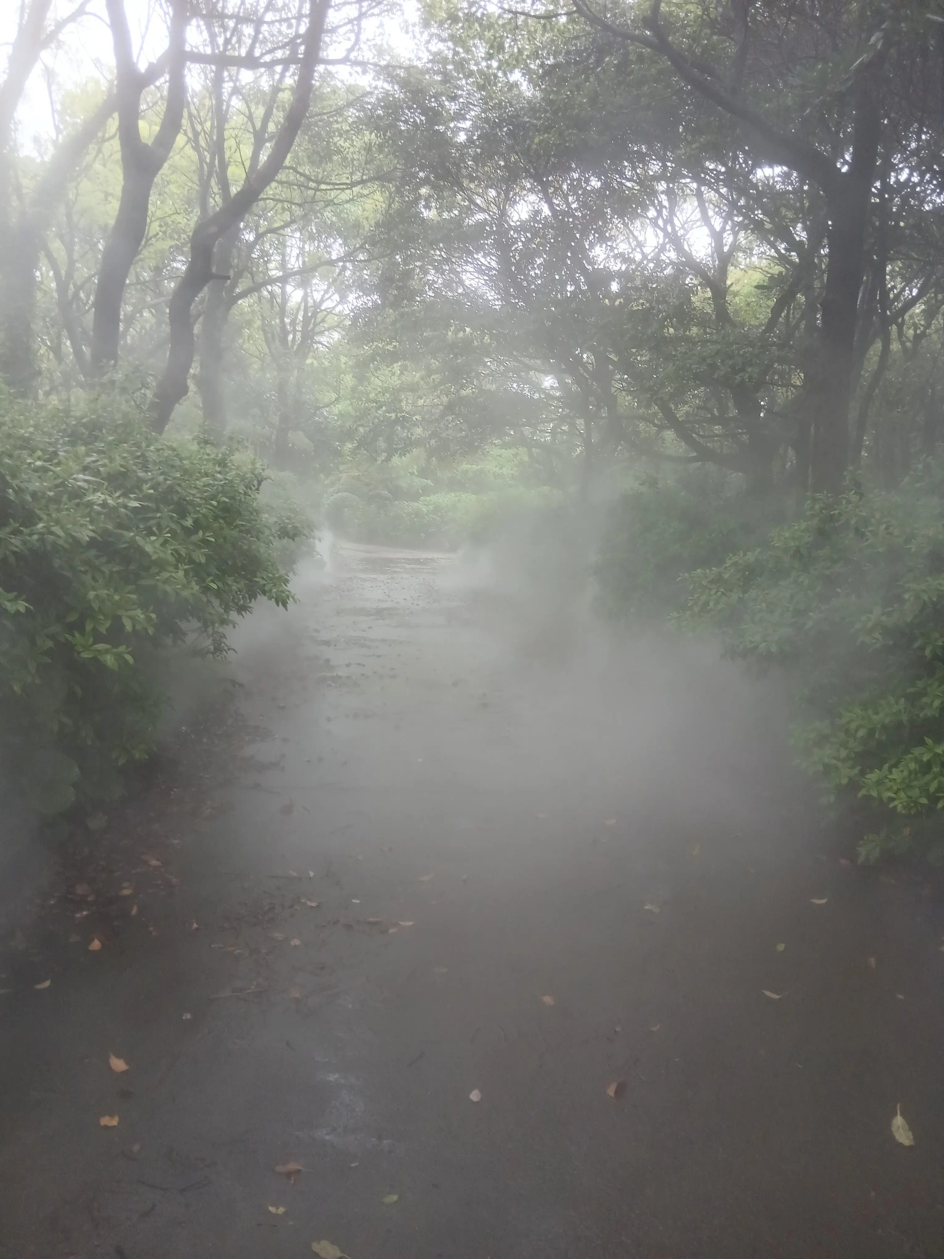 FussyFear2921의 구울 뜰팁