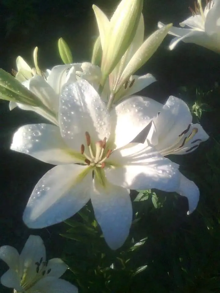 o0seeeeeee의 대학교 옆자리 범생이 꼬시기