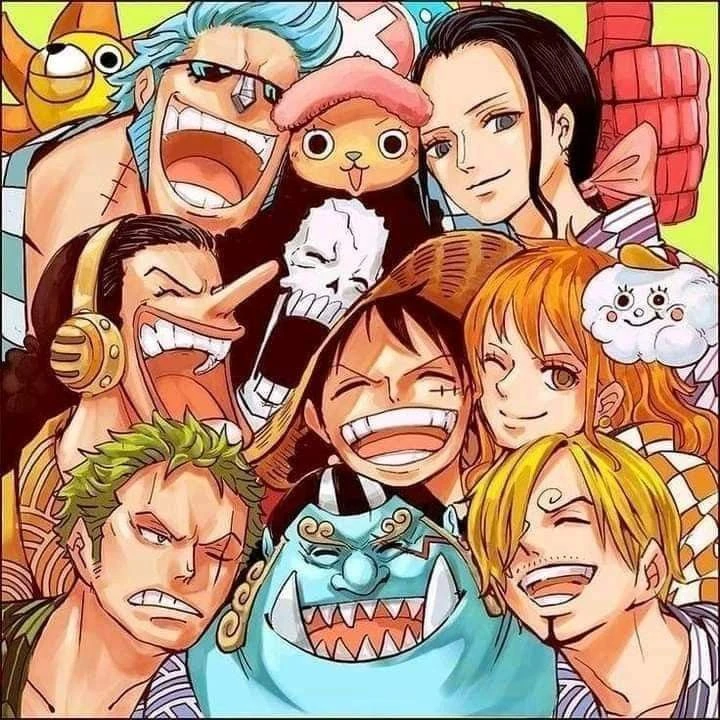 Straw Hat Pirates Crew