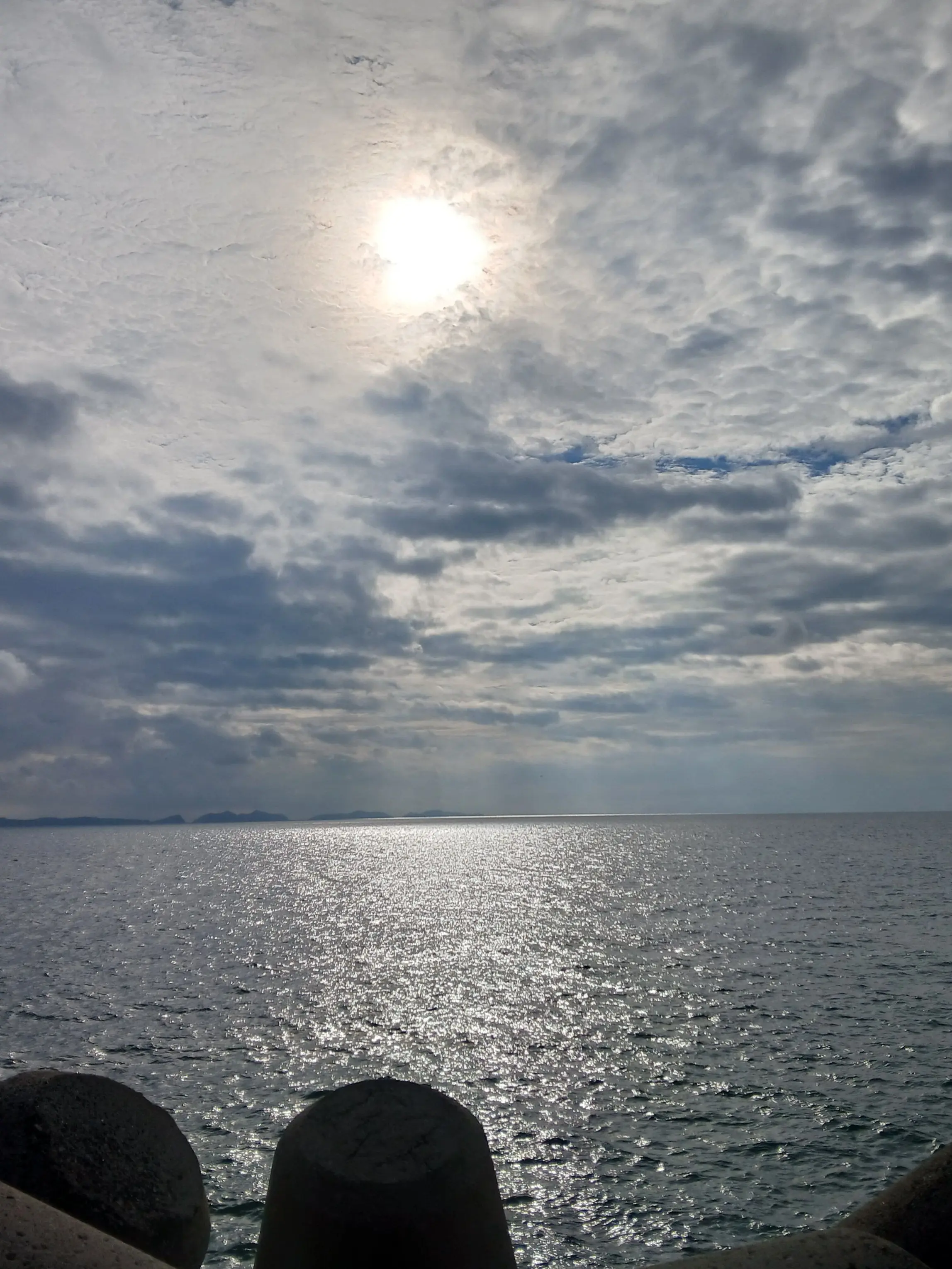 PaleDaug2790의 평화로운.