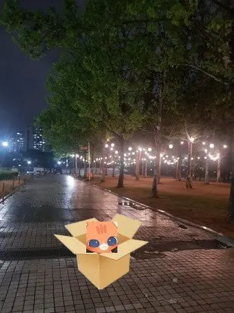 TinyPlay1546의 고양이 때문에 집사가 됐다?