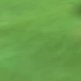 君だけの🪄、🔫、🩷で____