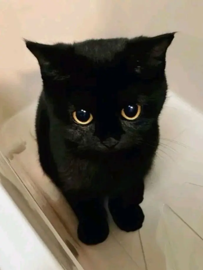 FakePool6504의 riku