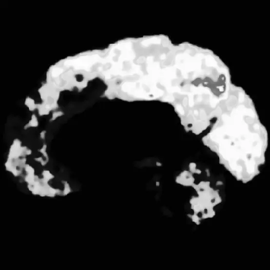 NICKNAME7552의 李鎭皓