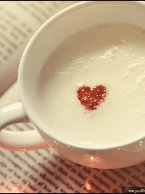 8Io8lo8lome의 권지용