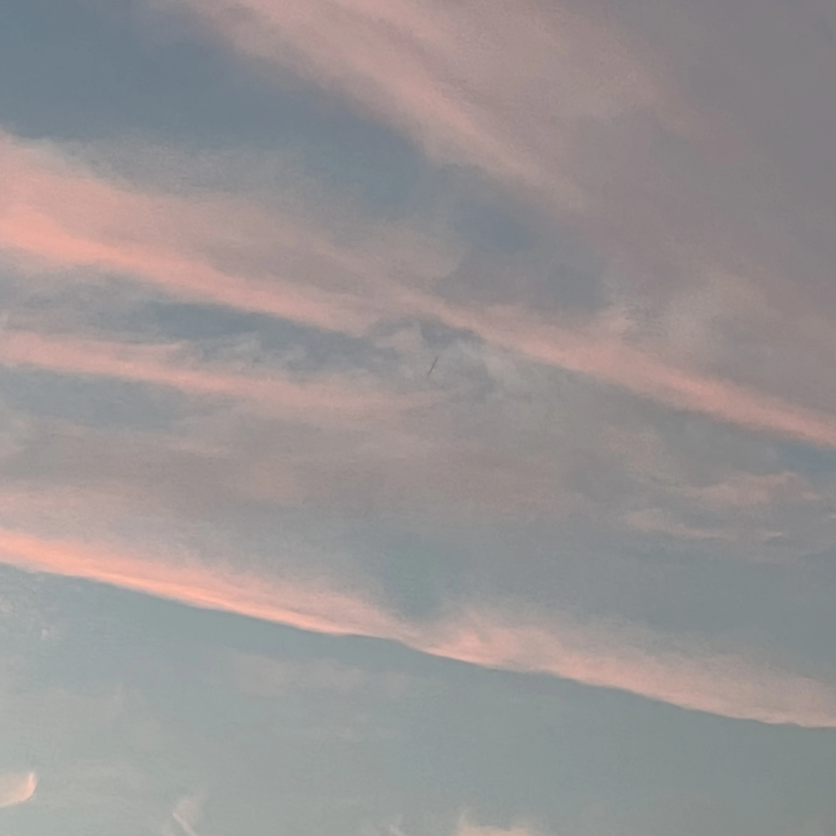 늦잠