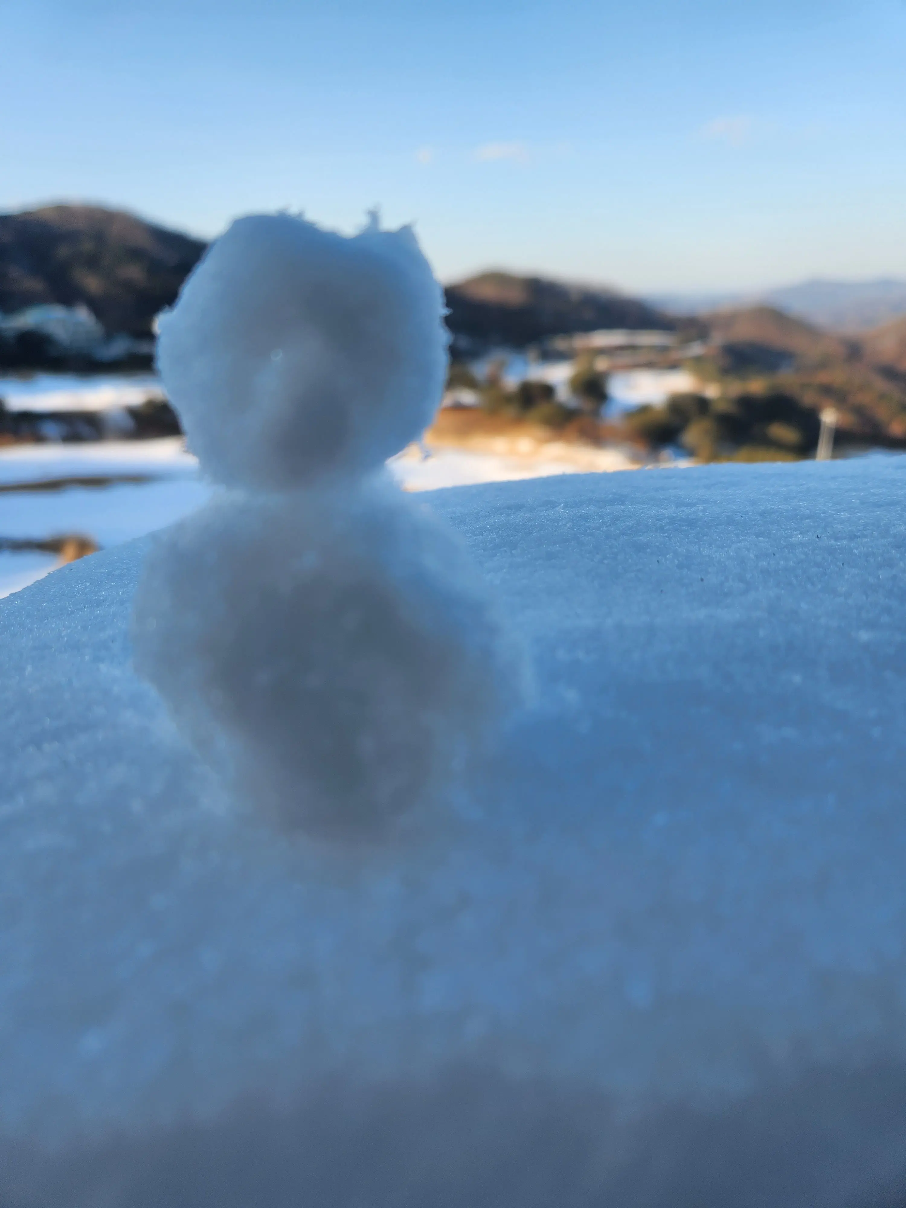 Cloud2012의 픽셀리 학교! (+여우)