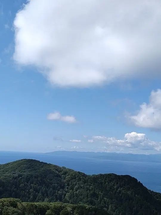 PeachyPanel8869의 異世界転生してきた!？