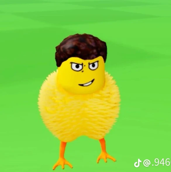 "셰들"