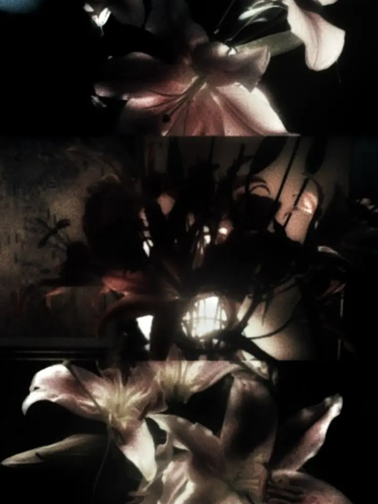 Mezzzino의 BL/GL| Gothic Dreams★