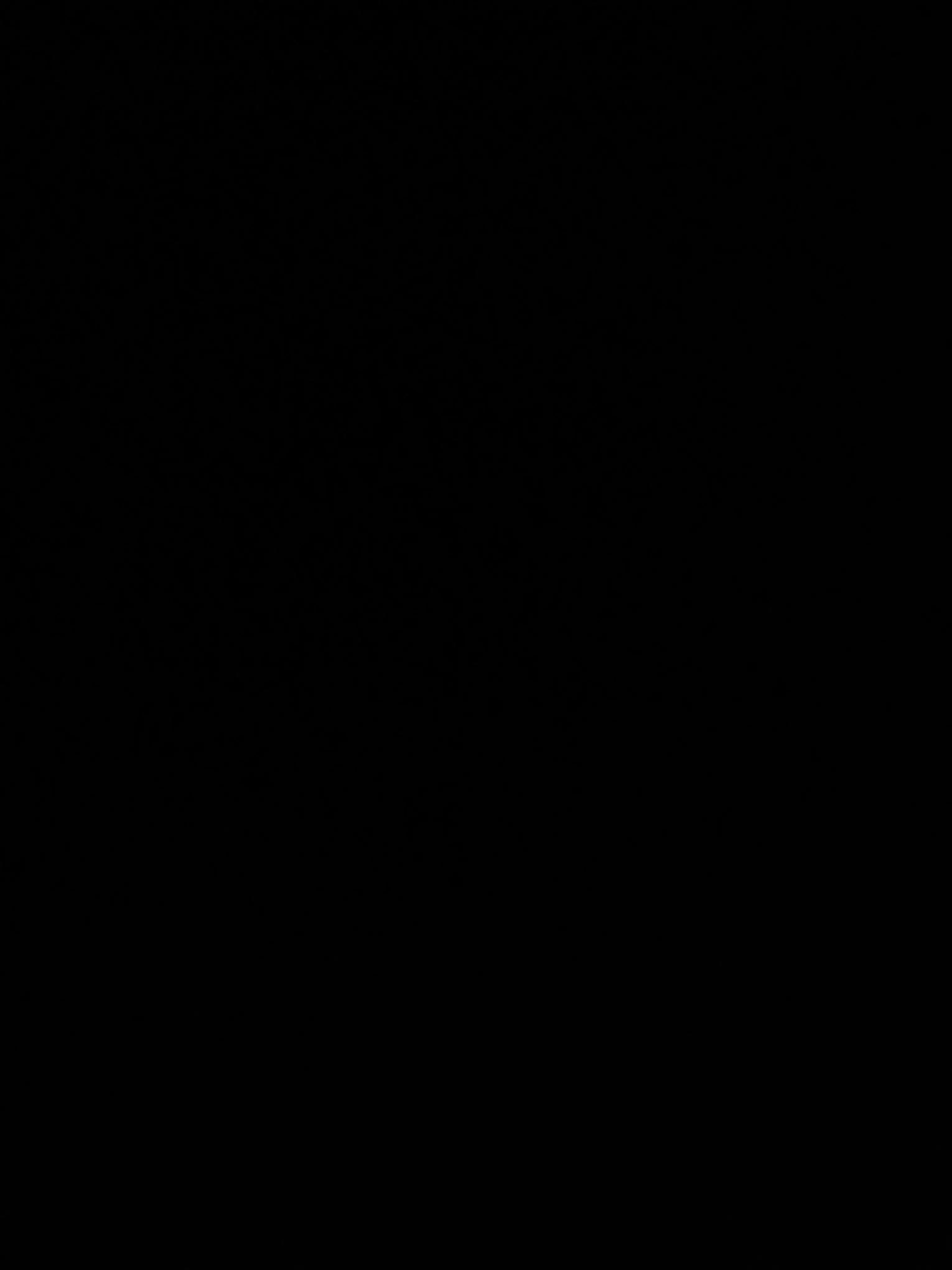 Elliotpizza36672의 파피플레이타임5 + 여우 +늑대