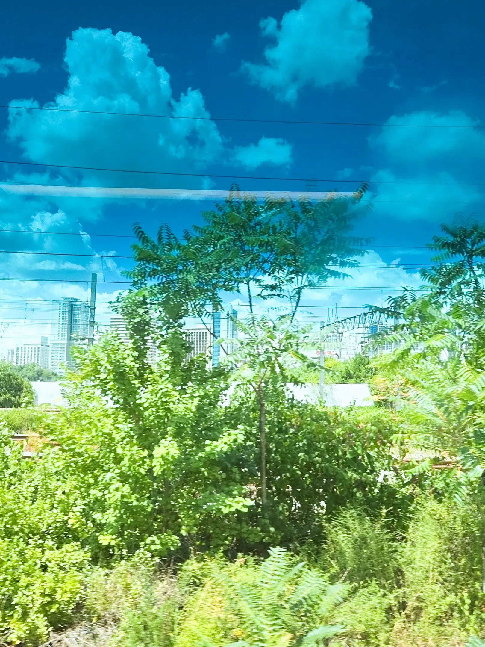 seri2002124의 작야-조선블루스