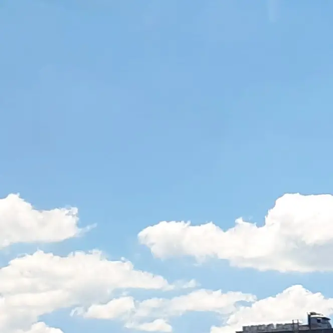 ModernModel4361의 평학 X 섀도하우스