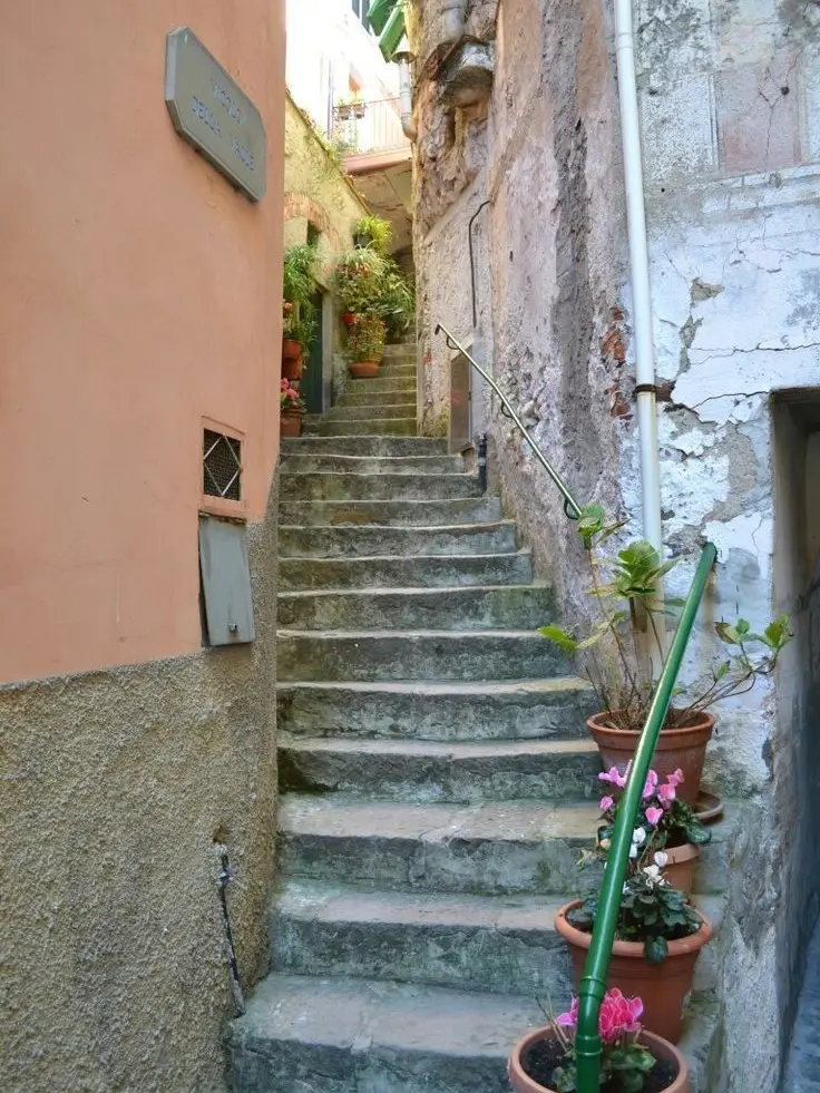 traumfrau의 사채업자