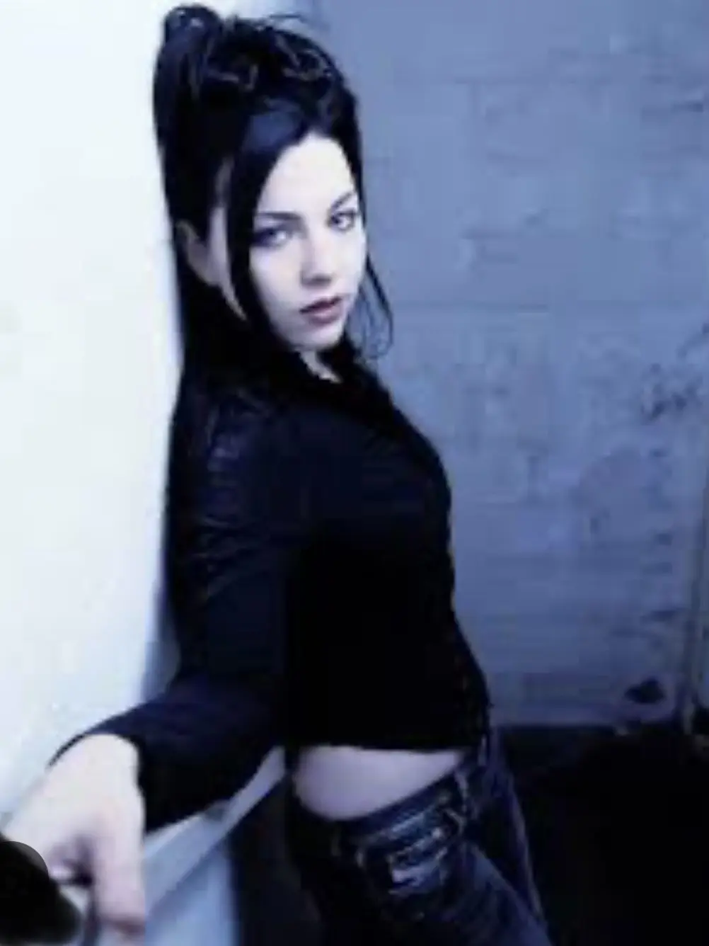 PlaidPuma5688의 Evanescence
