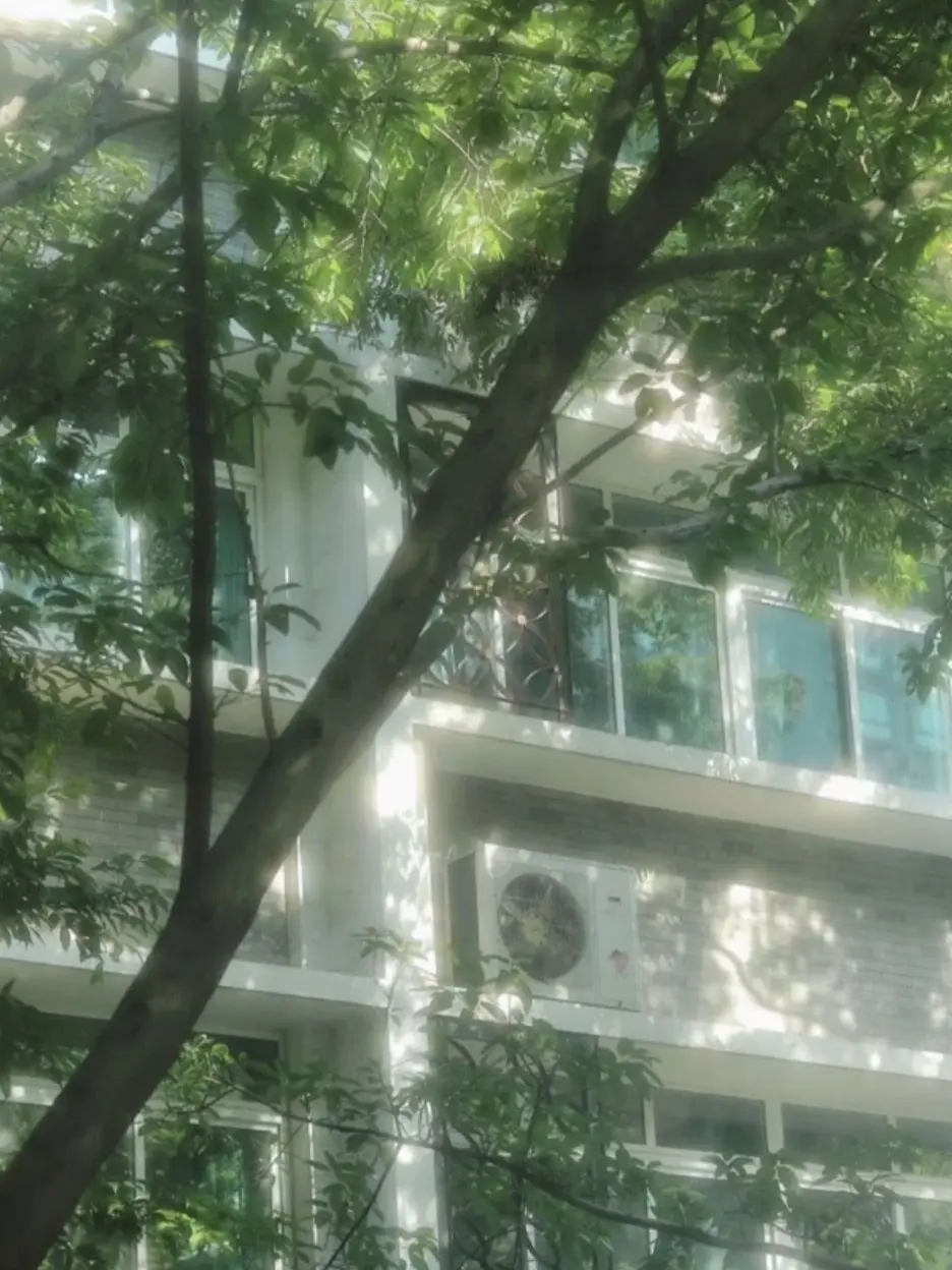 GloomyRhea7164의 大学教授if