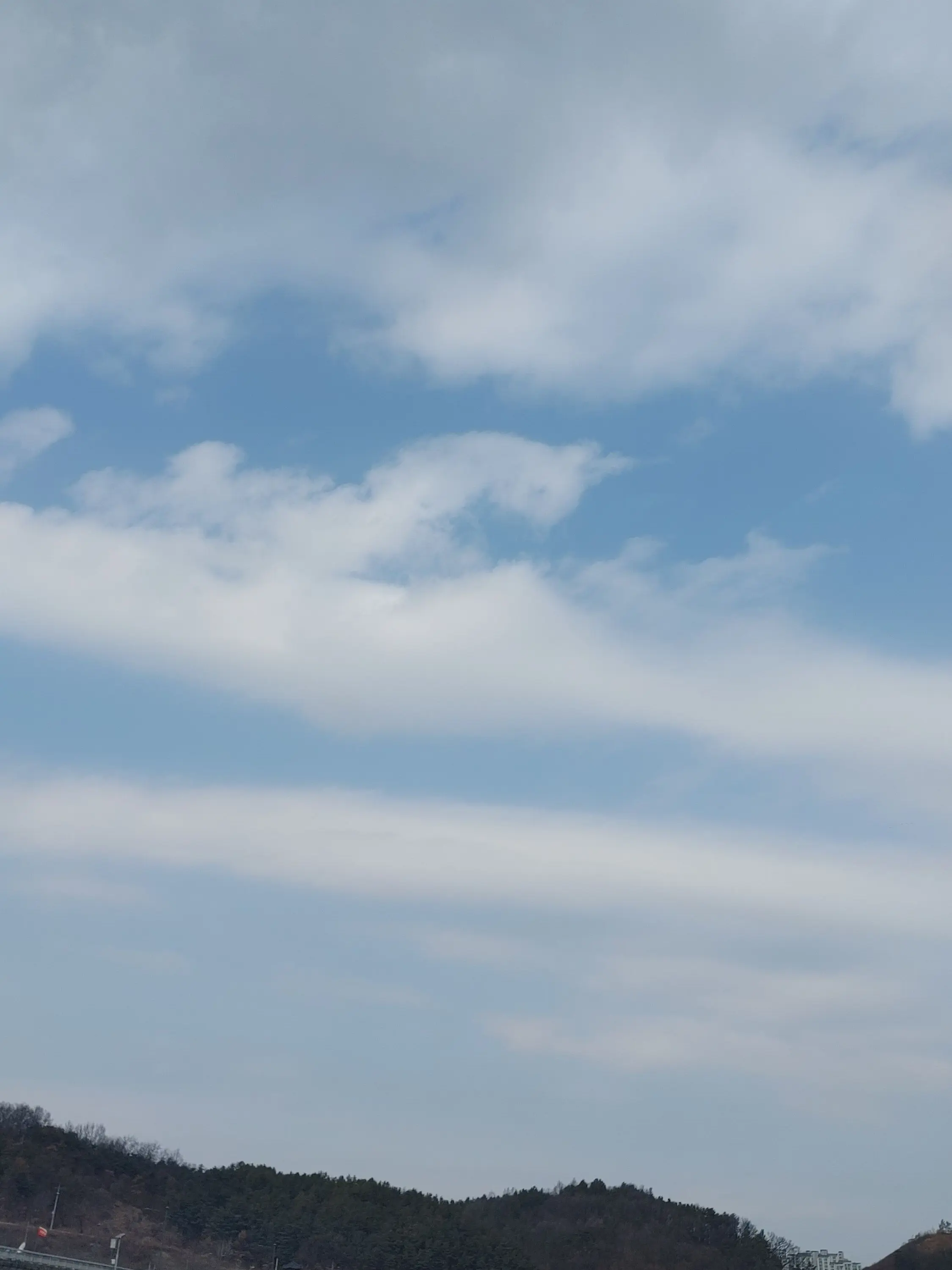 PickySong2265의 머리머리 머털이