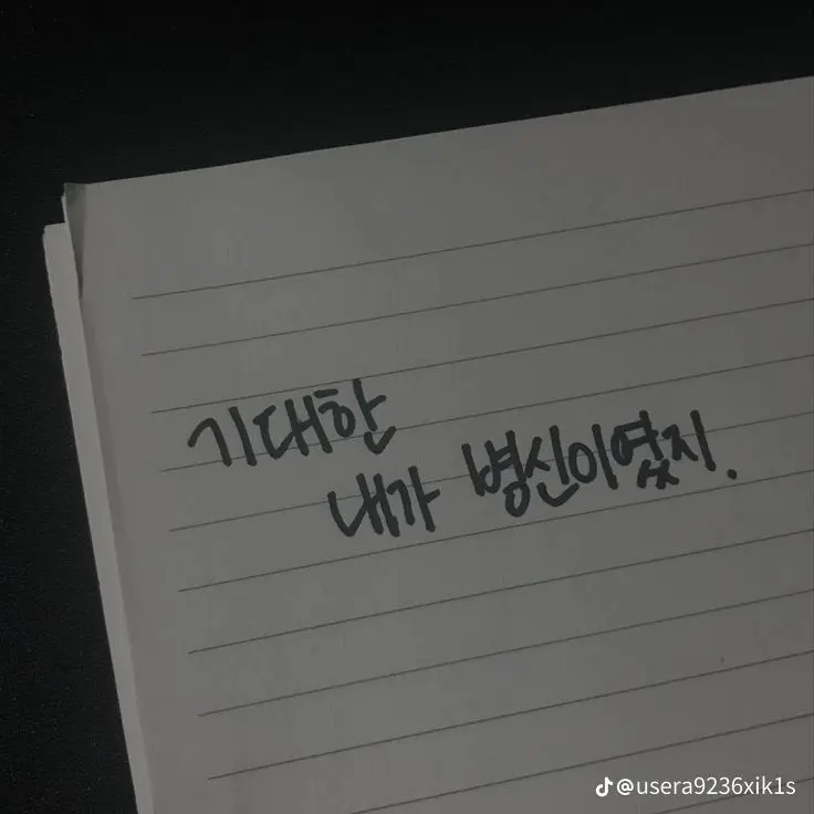 DirectCodec2233의 제대로 찍혔네.
