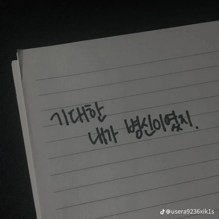 제대로 찍혔네.